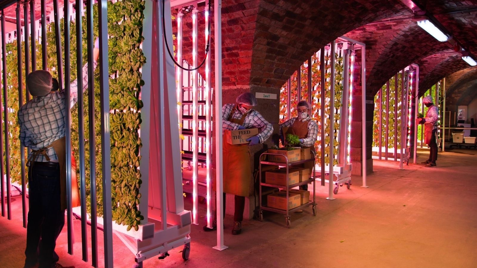 The vertical farm at Farm Urban