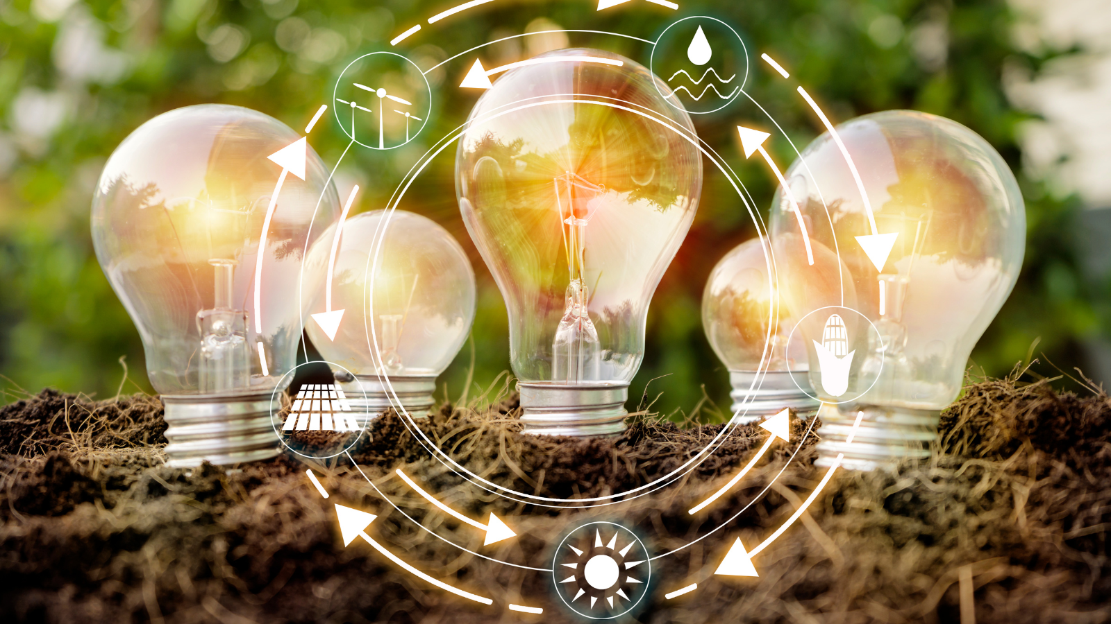 Lightbulbs with various energy saving measures surrounding them