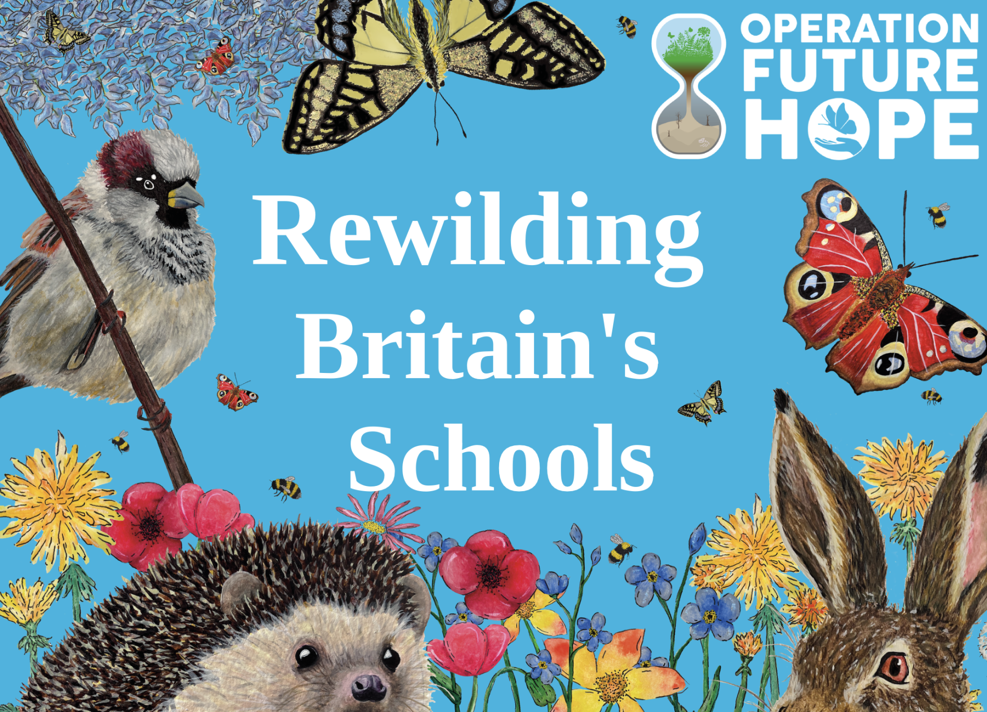 Rewilding Britain's Schools