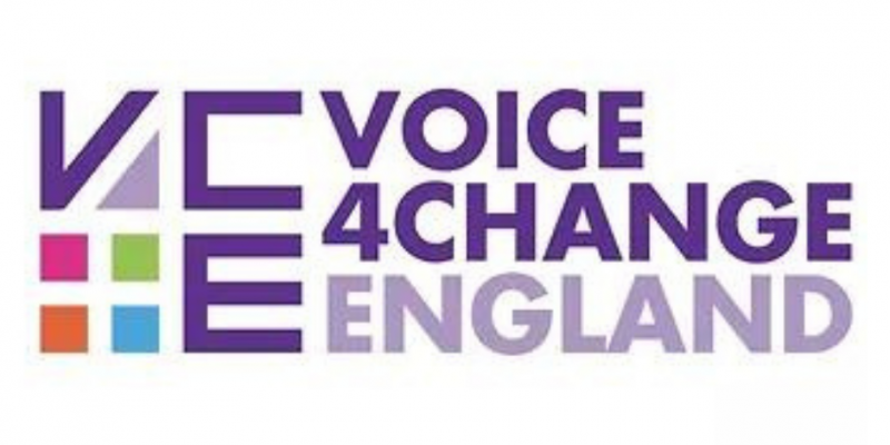 Voice for Change