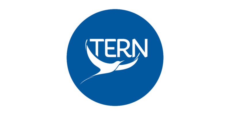 TERN