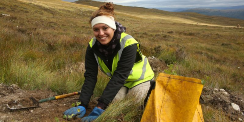 Volunteer at Trees for Life, replanting