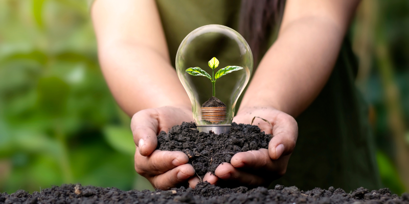 Hands hold a lightbulb with a seedling growing inside