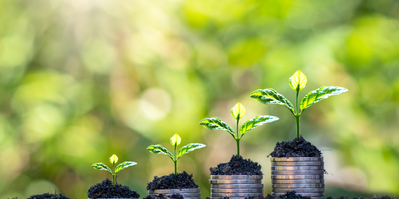 Other Funding Opportunities